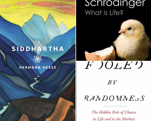 The Modern Polymath’s Library: Best Books on Philosophy, AI , Digital Superintelligence & Global Strategy cover photo collage