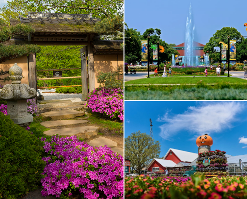 Illinois top spots! cover photo collage