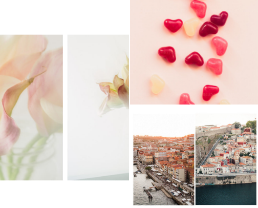 Blush Pink wall art ideas cover photo collage