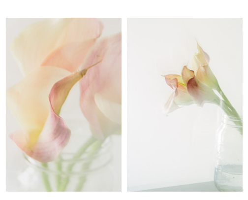 Blush pink wall art ideas for your interior decorating projects cover photo collage