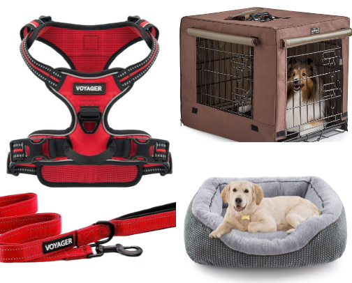 All The Must-Haves For Getting A Puppy! cover photo collage