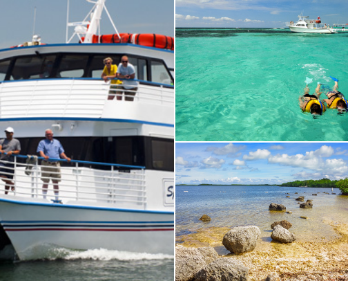 Explore the Magic of the Florida Keys: Your Must-Visit Travel List cover photo collage