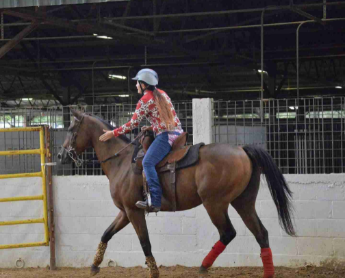 My Barrel Horse Setup (OTTB + Performance Horse Essentials I Actually Use) cover photo collage