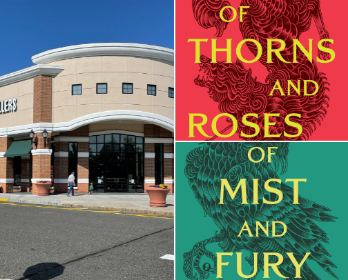 Books I read in 2025 cover photo collage