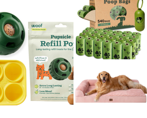 pAWESOME finds cover photo collage