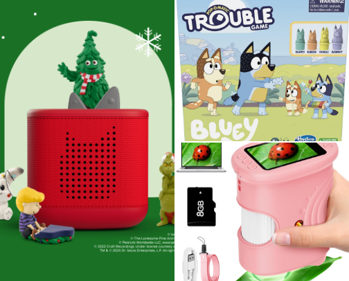 Toddler Essentials cover photo collage