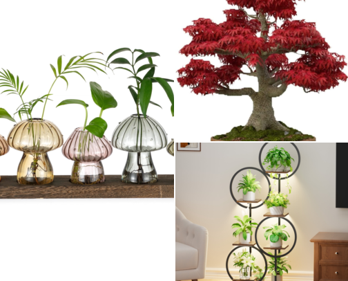 from the garden to the house ! cover photo collage