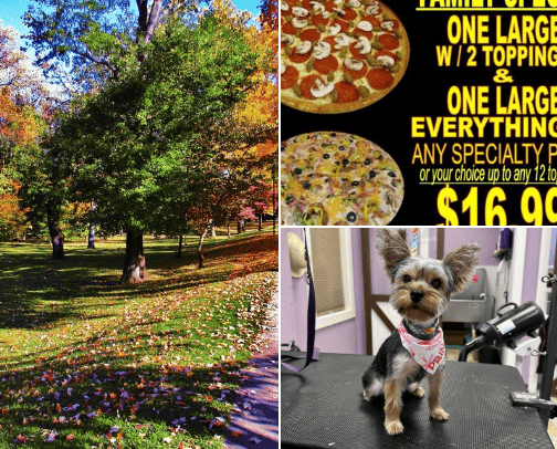 Best Places Around Ashland Kentucky! cover photo collage