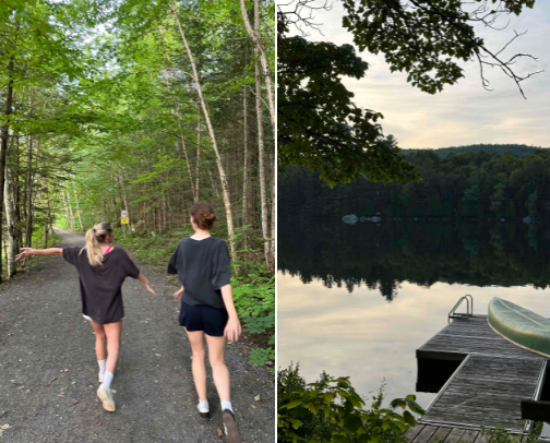 Cottage Core Summer cover photo collage