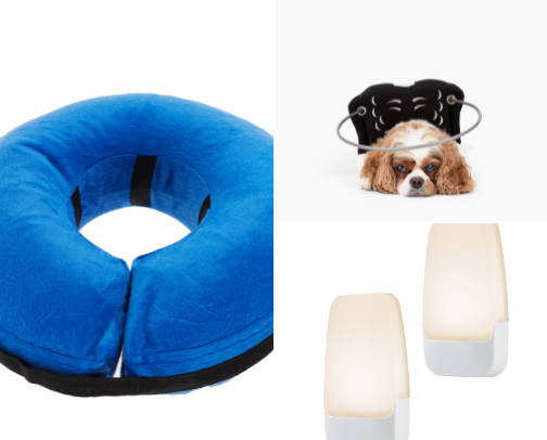 🐾 One-Eyed Pup Essentials: Real Products That Actually Helped cover photo collage