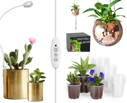 Plant Parenthood cover photo collage
