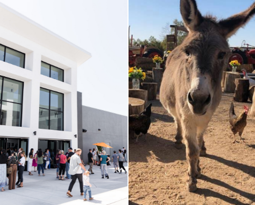 Places to be! cover photo collage