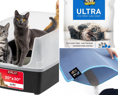 Cat Gear We Actually Kept: Litter, Fountains, Beds & Toys cover photo collage