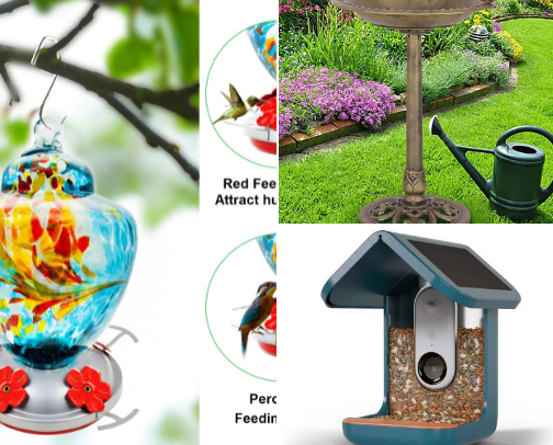 Bird watching cover photo collage