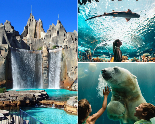 Family Fun Adventures - GTA Ontario Canada cover photo collage