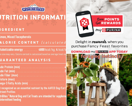 🐾 Paws & Play: Your Pet Supplies Paradise! 🏡 cover photo collage