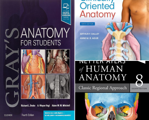 15 Best Anatomy Books Every Physiotherapy Student Should Own cover photo collage