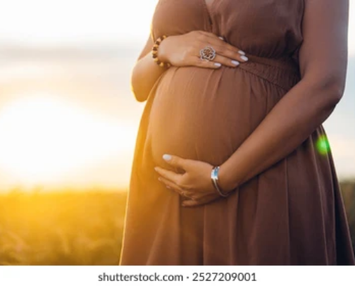 My maternity dresses collection sheln finds cover photo collage
