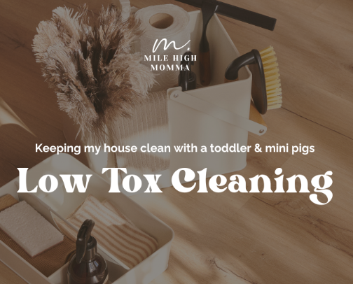 Low Tox Cleaning: How I keep my home clean with a toddler & mini pigs cover photo collage