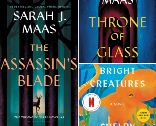 Books I loved cover photo collage