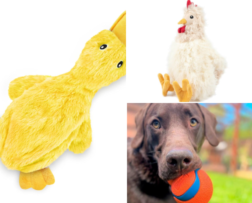 My crazy dog loves these things. cover photo collage