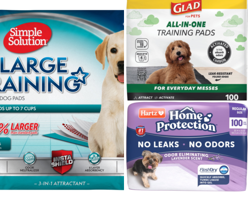 I Finally Found Travel Crate Supplies That Keep My Dog Clean on Long Flights cover photo collage