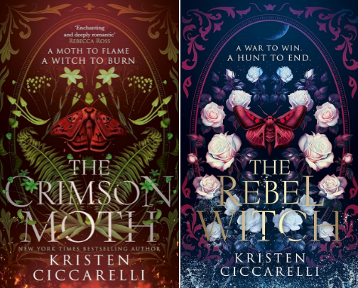 every book read in 2025 cover photo collage