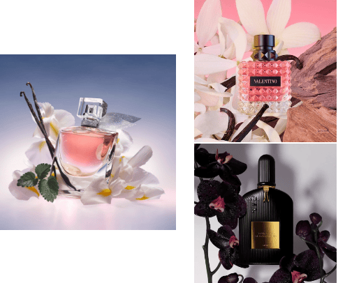 13 perfumes that made people stop and ask what I was wearing cover photo collage