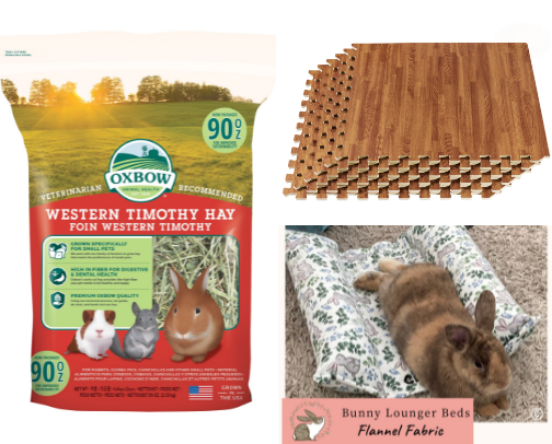 Bunny Basics for New Pet Pawrents cover photo collage