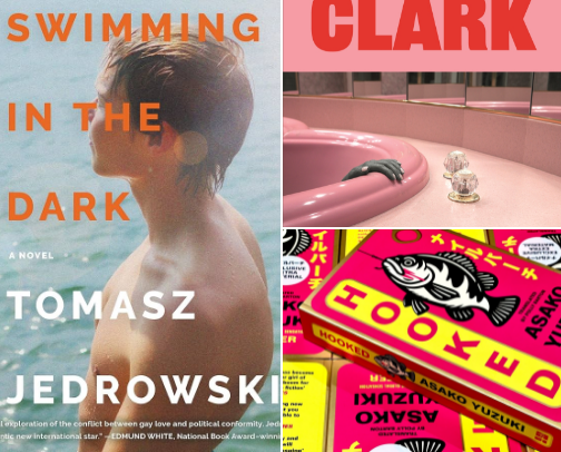 2026 BOOK RECS cover photo collage
