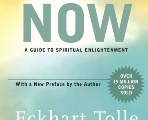 My favorite book recs cover photo collage