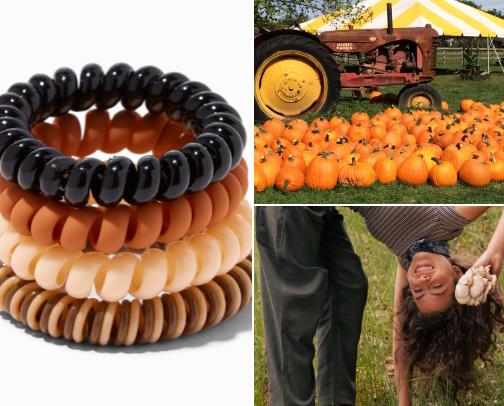Pennsylvania things to do in the fall! cover photo collage
