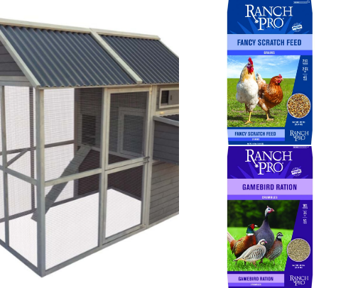 Chickens and Ducks cover photo collage