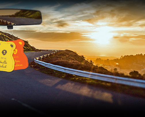 Mom car essentials cover photo collage