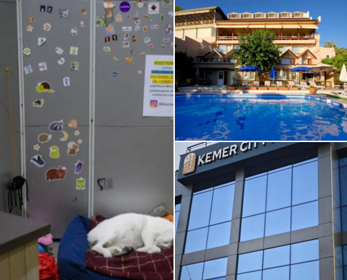 Looking for a Good Hotel in Levent, Istanbul, Turkey? Start Here cover photo collage
