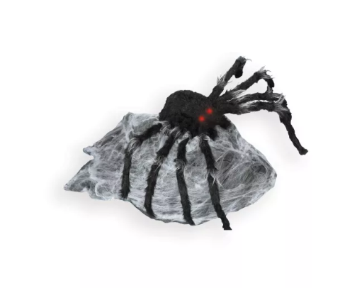 Fangtastic Finds cover photo collage