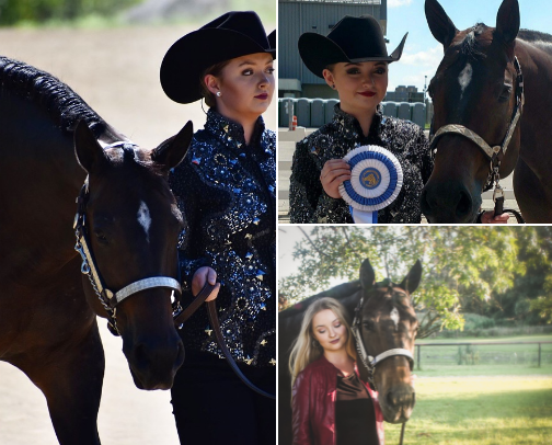 Horse Show Makeup Recs cover photo collage