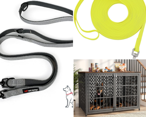 What I Can't Live Without as a Dog Trainer cover photo collage
