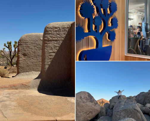 space cowboy desert retreat to joshua tree cover photo collage