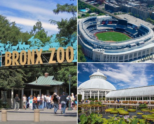 Popular Bronx NY Attractions cover photo collage