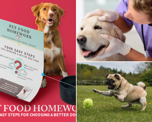 Health and wellness cover photo collage