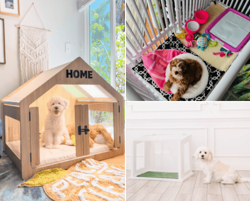 Home 🏠 is where the dog is 🐶 cover photo collage