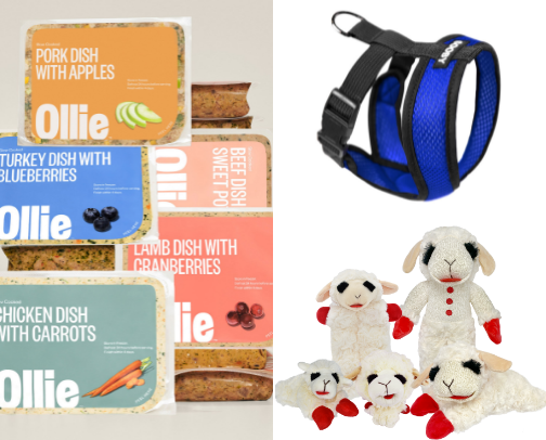 Only the Best for my Dogs cover photo collage