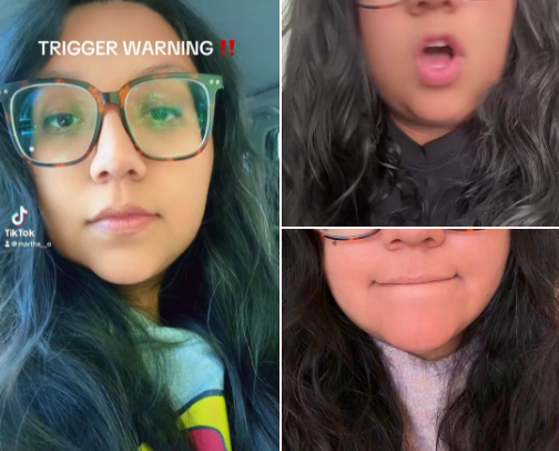 My TikTok videos cover photo collage