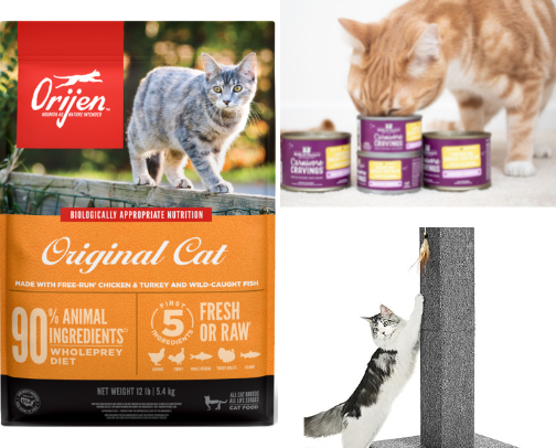 cat things cover photo collage