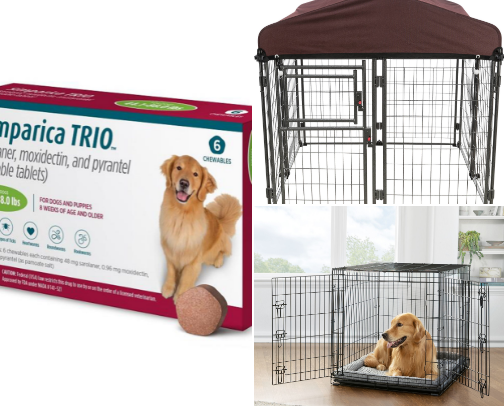 Dog pound- dog supplies cover photo collage