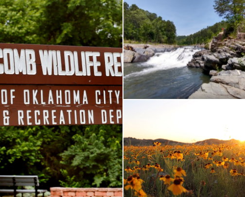 staying active / move your body 🧘‍♂️ cover photo collage