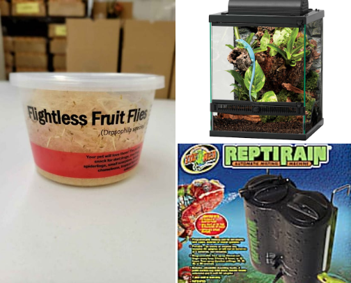 best pet faves cover photo collage