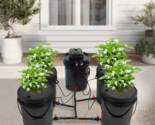 Grow Food in Buckets (Container Gardening Essentials) cover photo collage