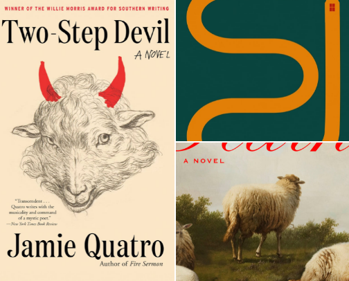 Novels for the Spiritual but not Religious cover photo collage